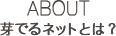 ABOUT 芽でるネットとは？